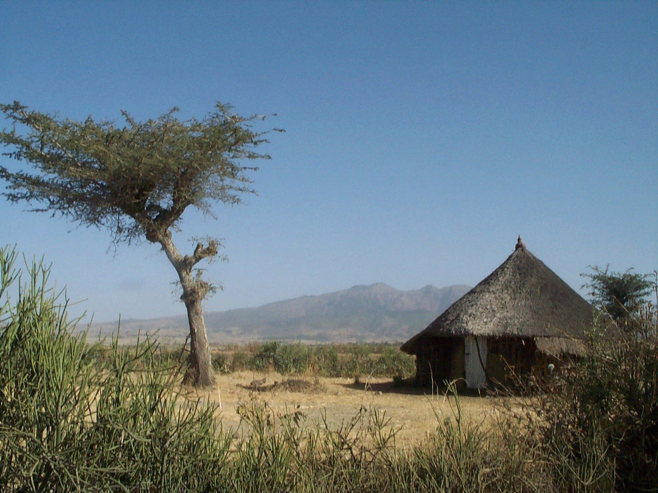 Ethiopian Countryside