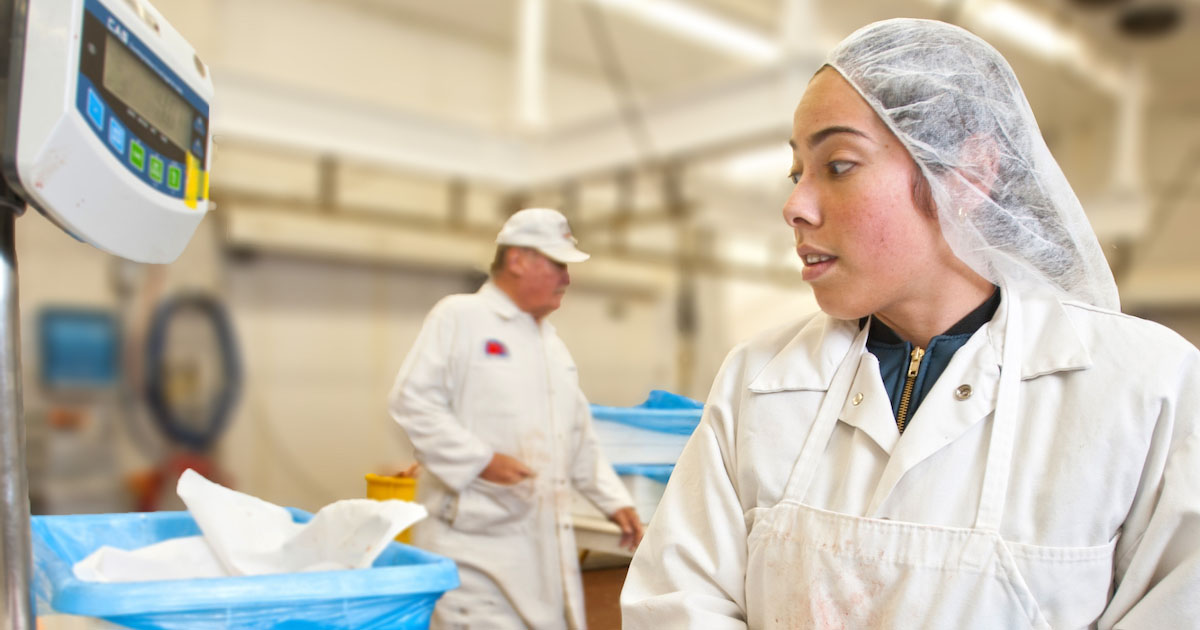 An individual in safety gear working in a a meat processing lab. 