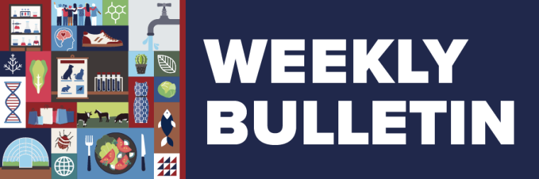 Graphic icons for disciplines represented in division and name of publication, "Weekly Bulletin"