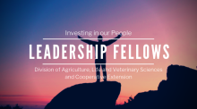 Leadership Fellows Banner 2019