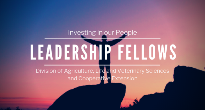 Leadership Fellows Banner 2019