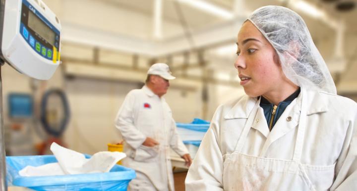 An individual in safety gear working in a a meat processing lab. 